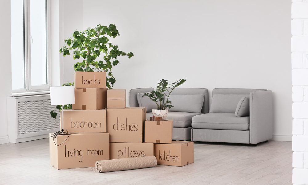 How to Make Your Move Environmentally Friendly