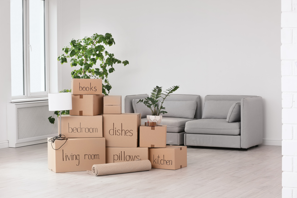 How to Make Your Move Environmentally Friendly