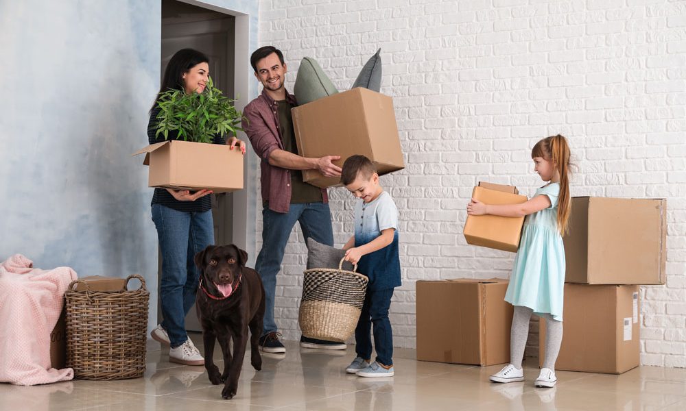 How Can You Ensure a Smooth Transition for Your Pets During a Move?