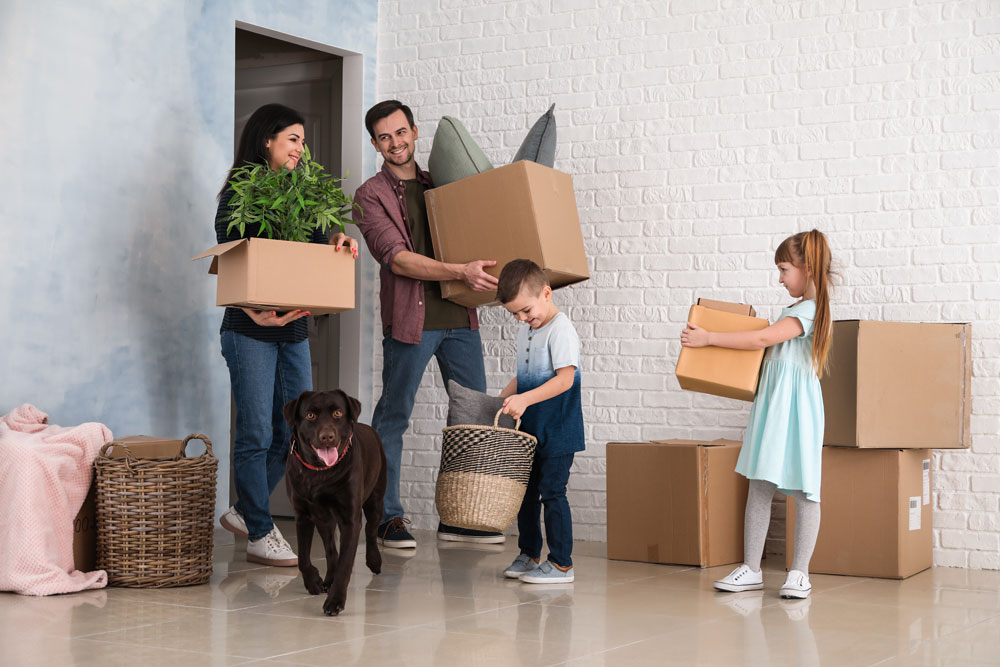 Moving can be a stressful experience for everyone involved, including your pets. At Flat Bid Moving, we understand that your pets are part of your family, and their well-being during the move is a top priority.