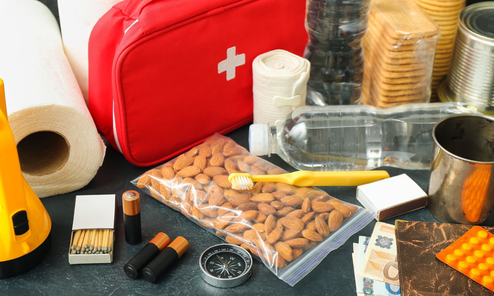 What to Include in Your Moving Day Survival Kit