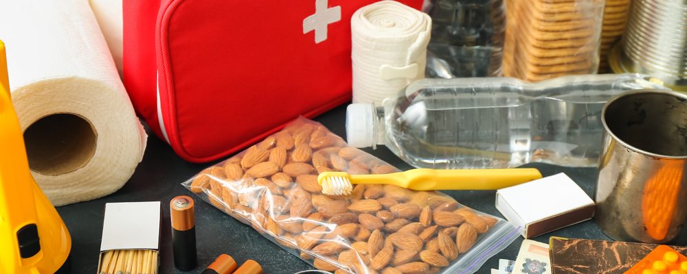 What to Include in Your Moving Day Survival Kit